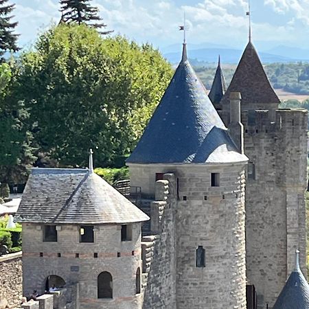 Appartement Tres Calme, Rdc, 800 M De La Cite Medievale Classee Au Patrimoine De L'Unesco Каркассон Экстерьер фото
