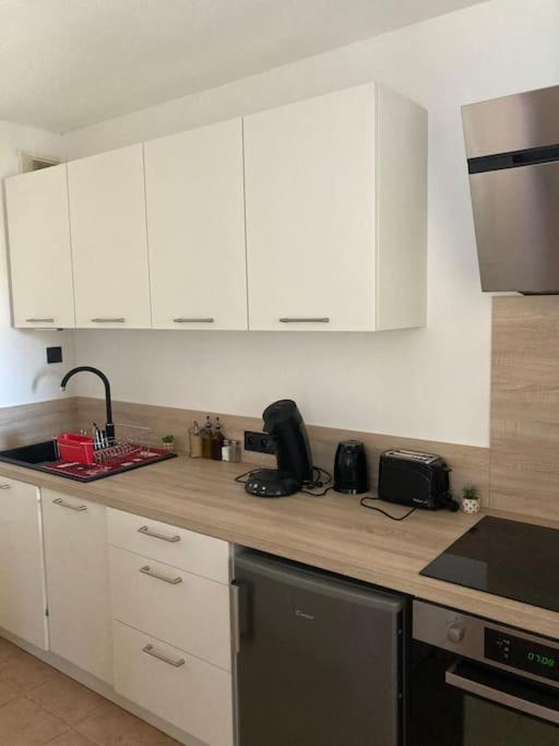 Appartement Tres Calme, Rdc, 800 M De La Cite Medievale Classee Au Patrimoine De L'Unesco Каркассон Экстерьер фото