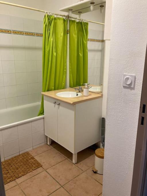 Appartement Tres Calme, Rdc, 800 M De La Cite Medievale Classee Au Patrimoine De L'Unesco Каркассон Экстерьер фото