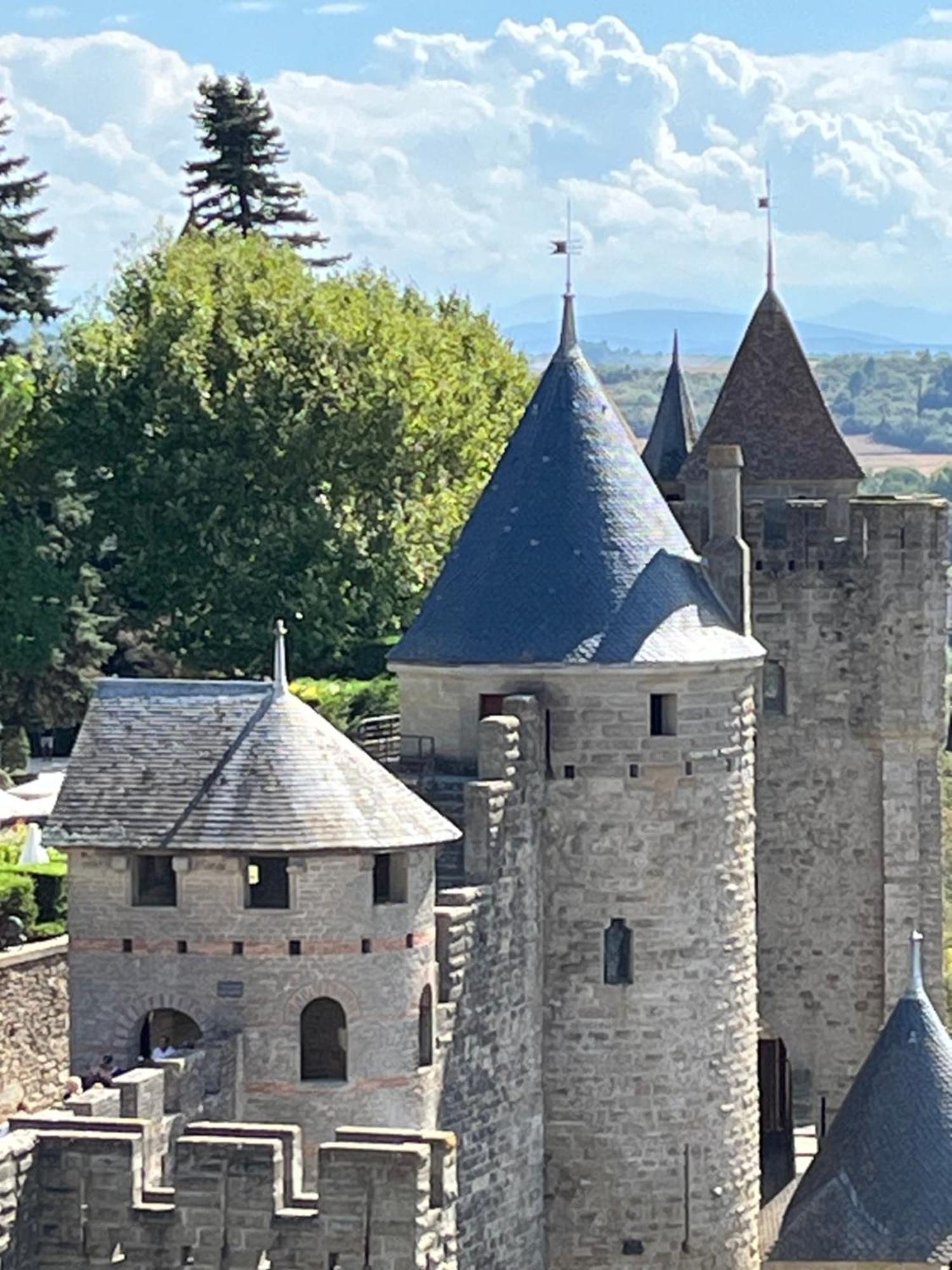 Appartement Tres Calme, Rdc, 800 M De La Cite Medievale Classee Au Patrimoine De L'Unesco Каркассон Экстерьер фото